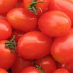 Grape Tomatoes